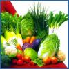 Fresh vegetables